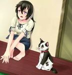  bad_id bad_pixiv_id barefoot beifeng_han black_hair cat collar full_body hair_between_eyes interlocked_fingers long_hair miyaura_sanshio open_mouth original ponytail purple_eyes short_sleeves solo squatting tied_sleeves 