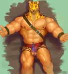  abs animal_humanoid balls belt biceps big_muscles clothed clothing feline front_view guin guin_saga half-dressed humanoid hybrid iceman1984 leopard looking_at_viewer male mammal mostly_nude muscular navel nipples pecs penis simple_background solo spots standing topless vein 