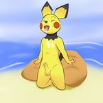  beach cub cum cum_on_chest cum_on_face issac_lazarus male male/male mammal mouse nintendo penis pichu pok&eacute;mon rodent seaside solo tongue tongue_out uncut video_games young 