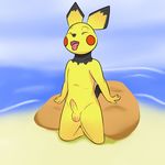  anthro anthrofied beach cub issac_lazarus kneeling male mammal mouse nintendo penis pichu pok&eacute;mon rodent seaside solo tongue tongue_out uncut video_games young 