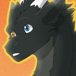 animated black_fur cute dragon fur heterochromia ilkyra looking_at_viewer low_res smile 