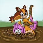  2015 amy_rose blue_eyes breast_squish breasts carelessdoodler clenched_teeth duo ear_tuft female fur green_eyes hair hairband leg_grab looking_back mud nude outside pink_hair sonic_(series) sonic_boom sticks_the_jungle_badger straddling sweat sweatdrop teeth tuft wrestling 