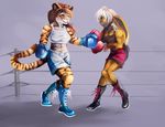  amateur amber_eyes blue_eyes boots boxing clothing feline female footwear gloves jazzycat kadmiel_dyne lagomorph mammal rabbit ring shorts sierra sport sports_bra tiger training veteran 