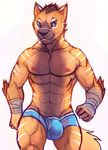  abs biceps bulge canine cheetahpaws clothing feline fur hybrid male mammal muscular muscular_male nipples pecs underwear wolf 