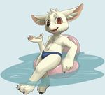  4_fingers blush bulge canine clothing cub fennec fox fur looking_at_viewer male mammal navel open_mouth partially_submerged simple_background sitting speedo swimsuit water white_fur young いもり 