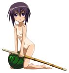  arm_support bamboo_blade barefoot breasts collarbone food fruit full_body kawazoe_tamaki kneeling looking_at_viewer nipples nude one-piece_tan open_mouth purple_eyes purple_hair pussy shinai short_hair simple_background small_breasts solo sword tan tanline watermelon weapon white_background winbee_(selkie) 