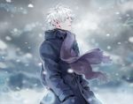  aqua_eyes bangs black_gloves breath coat cold from_side ginko gloves hands_in_pockets jane_mere long_sleeves looking_away male_focus mushishi outdoors parted_lips purple_scarf scarf snow snowing solo upper_body white_hair winter 