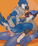  after_sex ambiguous_gender anthro anus avian balls bird black_eyes blue_eyes blue_jay blush bottomless butt clothed clothing cum cum_on_butt dovne duo feathers fnb half-dressed hot_dogging legwear male open_mouth penis socks tongue vein wristwatch 