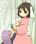  animal animal_ears bamboo bamboo_forest blazer brown_eyes brown_hair bunny bunny_ears bunny_tail carrot dress forest from_behind happy holding holding_animal inaba_tewi ito_(itokayu) jacket long_hair long_sleeves looking_at_another looking_down looking_up multiple_girls nature open_mouth pink_dress purple_hair red_eyes reisen_udongein_inaba role_reversal short_hair smile tail touhou younger 