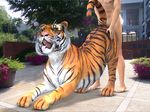  3d_(artwork) cgi digital_media_(artwork) duo feline fur male male/male mammal nude open_mouth orange_fur penetration penis sex tapiko tiger white_fur 