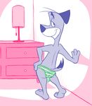  balls blush butt canine clothing crossdressing dog huckleberry_hound inside ladysomnambule male mammal panties underwear 