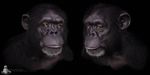 anthro ape baboon fur male mammal matthew_kean monkey primate solo 
