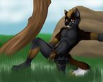  absurd_res anthro bowiethewolf bowiethewolf_(character) briefs bulge canine cheeky clothed clothing fur half-dressed hi_res male mammal mohawk nature outside rock sitting smirk solo topless underwear wolf 