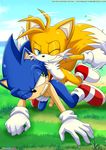  anal bareback bbmbbf blue_eyes blush canine duo fox green_eyes hedgehog hi_res mammal miles_(tails)_prower miles_prower palcomix penis sex showing_teeth sonic_(series) sonic_the_hedgehog tails_on_sonic tails_prower 