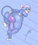  animal_genitalia anthro anus balls bent_over big_balls big_butt butt butt_grab eyewear feline girly glameow glasses hand_on_butt horsecock looking_back male mammal nintendo open_mouth penis pok&eacute;mon presenting presenting_hindquarters solo thick_thighs tongue video_games wide_hips 