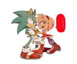  1boy 1girl amy_rose anthro black_nose boots clothing dress duo female footwear furry gloves green_eyes hair hedgehog japanese_text male mammal pink_hair sega short_hair sonic sonic_(series) sonic_the_hedgehog text unknown_artist video_games 