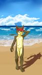  anthro balls band-aid bandage beach brown_fur canine clothing dog erection fur green_eyes hat hi_res male mammal penis scar seaside solo standing uncut water young ラロロ 