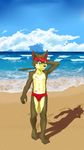  anthro band-aid bandage beach brown_fur canine clothing dog fur green_eyes hat hi_res male mammal scar seaside solo speedo standing swimsuit water young ラロロ 