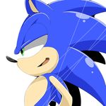  anthro black_nose green_eyes hedgehog jam8686 low_res male mammal solo sonic_(series) sonic_the_hedgehog 