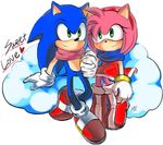  1boy 1girl amy_rose anthro black_nose clothing duo female footwear furry gloves hair hanybe headband hedgehog male mammal pink_hair sega sitting sonic sonic_(series) sonic_the_hedgehog video_games 