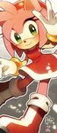  1girl amy_rose anthro black_nose clothing dress female furry gloves hair hanybe hedgehog low_res mammal pink_hair sega solo sonic_(series) sonic_the_hedgehog video_games 