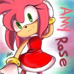  amy_rose anthro black_nose clothing dress english_text female gloves hair hanybe hedgehog low_res mammal pink_hair solo sonic_(series) text video_games 