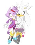  anthro black_nose blaze_the_cat cat clothing duo feline female footwear fur gem hair hedgehog jam8686 male mammal ponytail purple_fur purple_hair silver_the_hedgehog sonic_(series) 