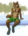  2015 abs anthro athletic brown_fur bulge canine clothed clothing digitigrade fuckie fur half-dressed jewelry looking_at_viewer male mammal multicolored_fur navel necklace orange_eyes sitting smile solo swimming_pool swimming_trunks swimsuit topless two_tone_fur water whiskers wolf 