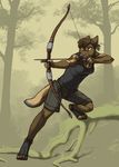  2015 action_pose anthro bow_(weapon) breasts brown_fur brown_hair canine clothed clothing digitigrade female fuckie fur green_eyes hair mammal outside ranged_weapon solo toya_(tylosoulspirit) weapon 