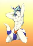 2010 abs anthro belly_piercing black_nose bulge canine clothed clothing fur gradient_background hair half-dressed kaynine kneeling male mammal multicolored_fur multicolored_hair navel simple_background solo speedo swimsuit topless two_tone_fur white_fur 