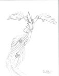  david_lillie dreamkeepers feathers karo sketch 