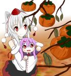  animal_ears blush bunny_ears chibi detached_sleeves food fruit hair_ornament hairclip hat holding inubashiri_momiji long_hair looking_up minigirl multiple_girls nature necktie open_mouth persimmon purple_hair red_eyes reisen_udongein_inaba ribbon ribbon-trimmed_sleeves ribbon_trim short_hair silver_hair skirt smile suisou_(keroro007) tokin_hat touhou wolf_ears 