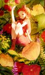  arrietty bad_id bad_pixiv_id boots cui_(jidanhaidaitang) dress flower highres karigurashi_no_arrietty minigirl needle orange_eyes orange_hair red_dress solo 