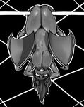  2015 anthro anthrofied bat_pony breasts equine female flutterbat_(mlp) fluttershy_(mlp) friendship_is_magic grispinne hair hands_behind_head hanging_breasts hi_res looking_at_viewer mammal murderousart my_little_pony navel nipples nude pussy solo upside_down wings 