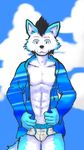  5_fingers anthro black_hair blue_eyes blue_fur briefs bulge canine clothing cloud dog fur hair invalid_tag looking_at_viewer male mammal nun6 rou_kemonone sky solo standing underwear 