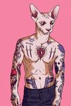  2015 anthro athletic cat clothed clothing feline hairless half-dressed half-length_portrait hi_res looking_at_viewer male mammal nikolas_pascal pale_skin pants pink_background simple_background slit_pupils solo sphinx tattoo topless yellow_eyes zarnala 