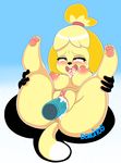  ahegao animal_crossing breasts canine clitoris cum disbodied_penis dog dongitos isabelle_(animal_crossing) mammal nintendo nipples pawpads pussy spreading tears video_games 
