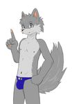  bulge canine clothed clothing digital_media_(artwork) fox front_view half-dressed hand_on_hip male mammal nipples solo standing thong topless whiteleo 