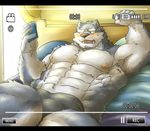  abs balls bed bedroom biceps big_muscles blush camera canine chest_tuft clothed clothing dog fur grey_fur half-dressed hi_res looking_at_viewer lying male mammal muscular nipples on_back open_mouth pecs recording seikeikei2015 solo teeth topless tuft underwear white_fur 