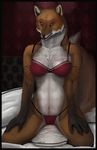  anthro bed bra breasts canine chest_tuft clothing cosmiclife female fluffy_tail fox fur lace mammal panties pinup pose sitting solo spread_legs spreading tuft underwear 