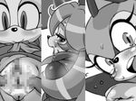  anus blush censored cream_the_rabbit female looking_at_viewer looking_back marine_the_raccoon monochrome nezumi pussy sonic_(series) sweat tears 