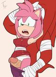  2015 amy_rose anthro big_penis breasts duo echidna erection female forced hedgehog knuckles_the_echidna male mammal monotreme penis sonic_(series) the_other_half 