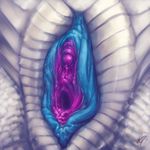  antar_dragon blue_pussy clitoris close-up female gaping gaping_pussy purple_pussy pussy pussy_close-up scales scalie solo urethra white_scales 