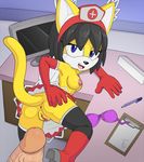  2015 anthro anus areola armwear black_hair breasts butt cat clothing desk erection feline female fur gloves hair honey_the_cat legwear looking_at_viewer looking_back male mammal nipples open_mouth penis presenting presenting_hindquarters presenting_pussy pussy skirt sonic_(series) spreading the_other_half thigh_highs yellow_fur 