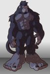  abs anthro ape baboon fur hair hi_res male mammal monkey nude primate solo unknown_artist 