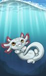  ambiguous_gender axolotl outside solo tojo_the_thief underwater water 