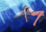  bad_id bad_pixiv_id bikini blue_eyes blue_hair breasts denpaken_pochi dolphin freediving medium_breasts original short_hair solo swimming swimsuit underboob underwater 