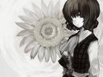  ascot bad_id bad_pixiv_id chonsuke flower greyscale kazami_yuuka monochrome short_hair solo sunflower touhou upper_body vest 