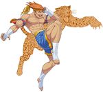  abs adon_(street_fighter) bandages hand_wraps headband jaguar male_focus mongkhon muscle nigou orange_hair shirtless shorts smile solo street_fighter street_fighter_zero_(series) 