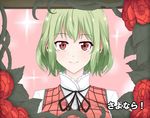  arms_at_sides bad_id bad_pixiv_id blush collar flower framed_image frilled_shirt_collar frills green_hair kazami_yuuka looking_at_viewer pink_background plaid plaid_vest plant red_eyes red_vest ribbon rose shiny shiny_hair shirt short_hair simple_background smile solo sparkle_background touhou upper_body vest vines wendell white_shirt 